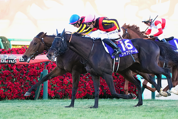 2024年 有馬記念 JRA