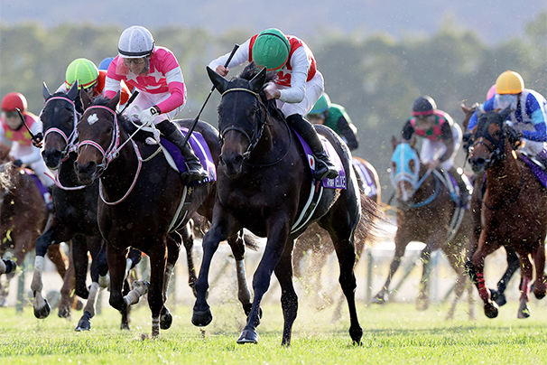 2024年 阪神ジュベナイルフィリーズ JRA