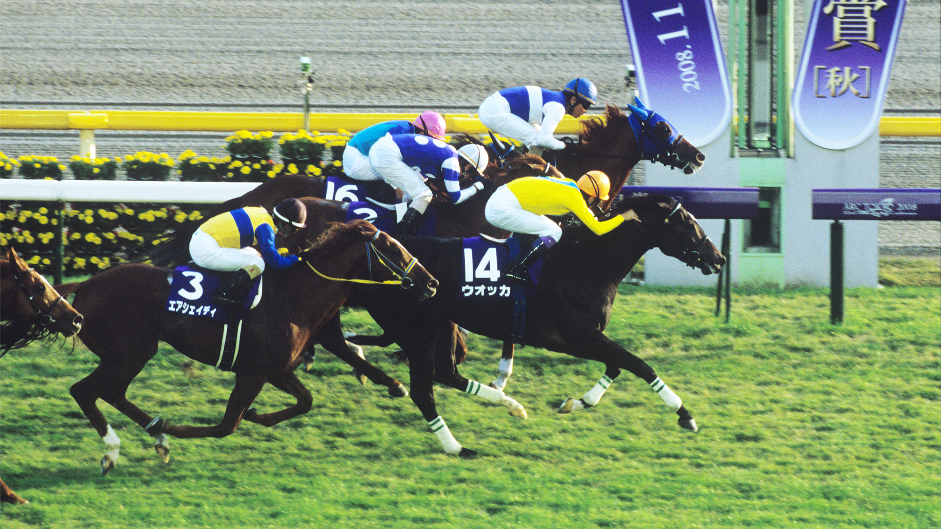 ウオッカ：競馬の殿堂 JRA