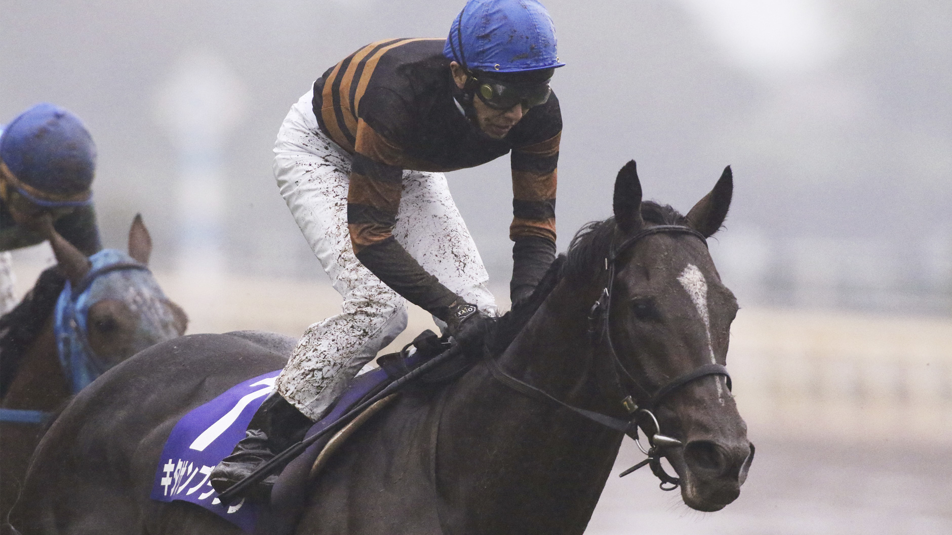 キタサンブラック：競馬の殿堂 JRA