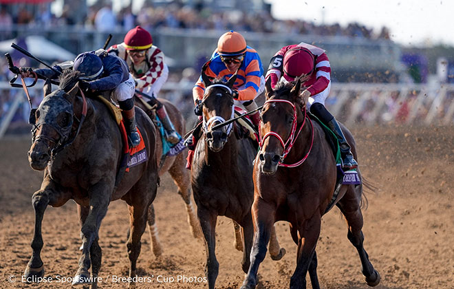 2025年度JRA賞」決定！年度代表馬はフォーエバーヤング！ JRA