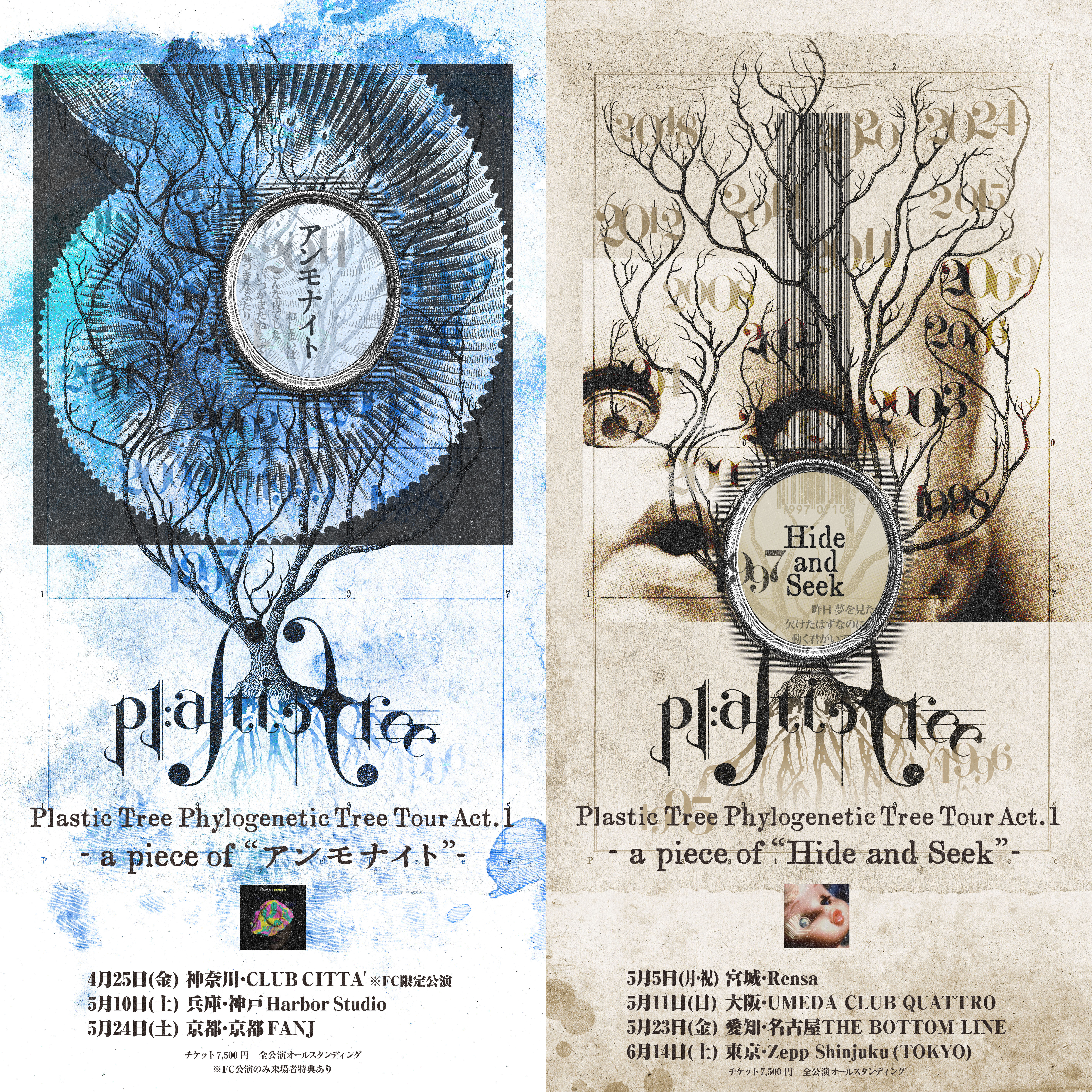 Plastic Tree の足跡を辿る「Plastic Tree Phylogenetic Tree Live