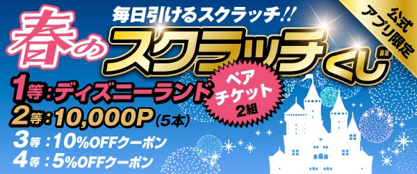 スパイダーズX 小型カメラ ボタン型カメラ 防犯カメラ 1080P ハンズ