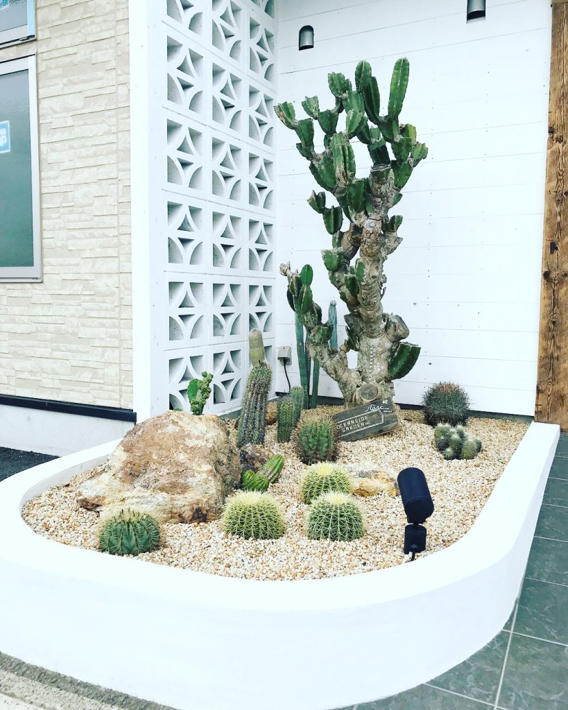 鬼面角ブランチの存在感！ | DESERT INC.