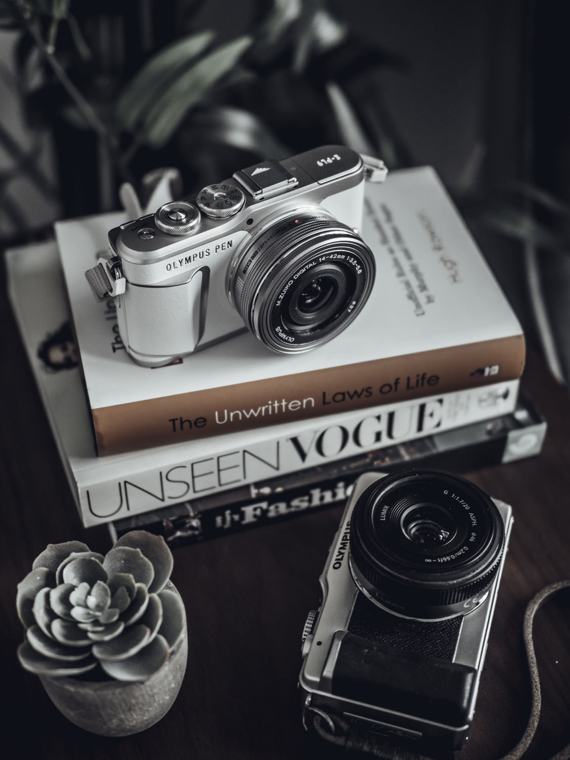 Review - Olympus PEN E-PL9 - Olympus Passion