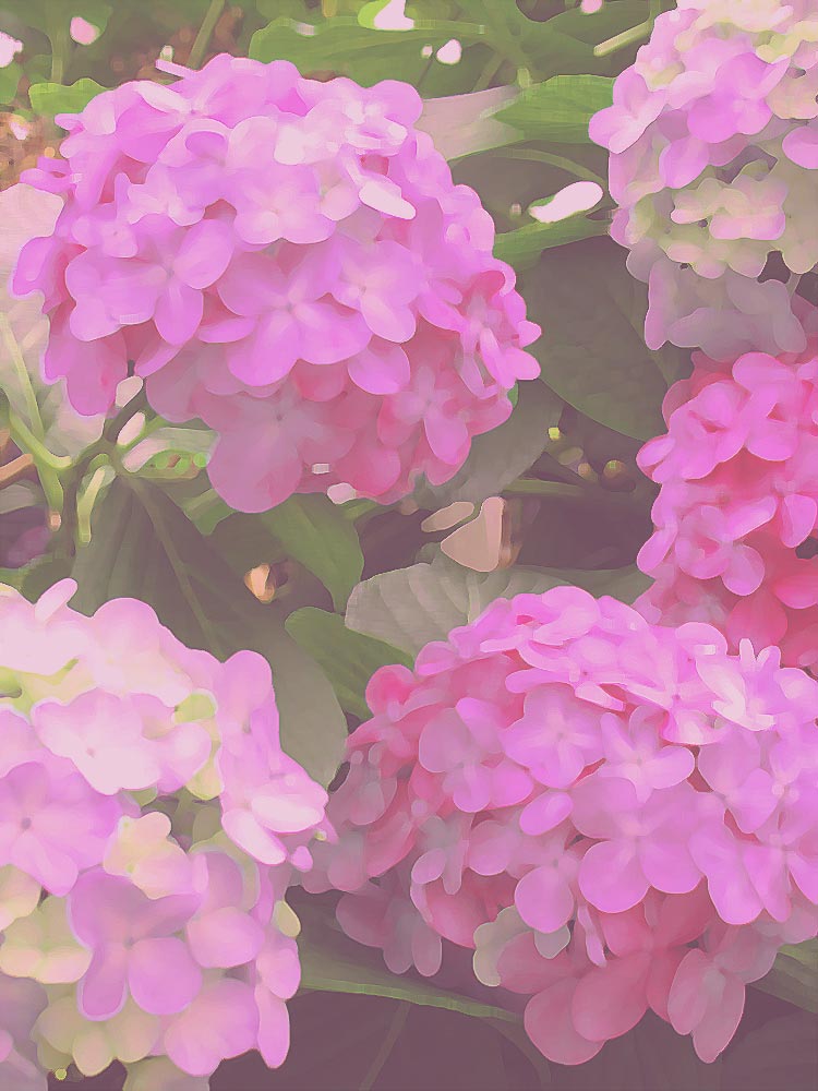 栗原喜依子 | 作品一覧 絵画など美術品の販売と買取 | 東京・銀座 おい