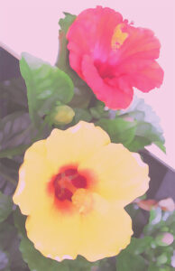 芝田米三 | 作品一覧 絵画など美術品の販売と買取 | 東京・銀座 おいだ美術