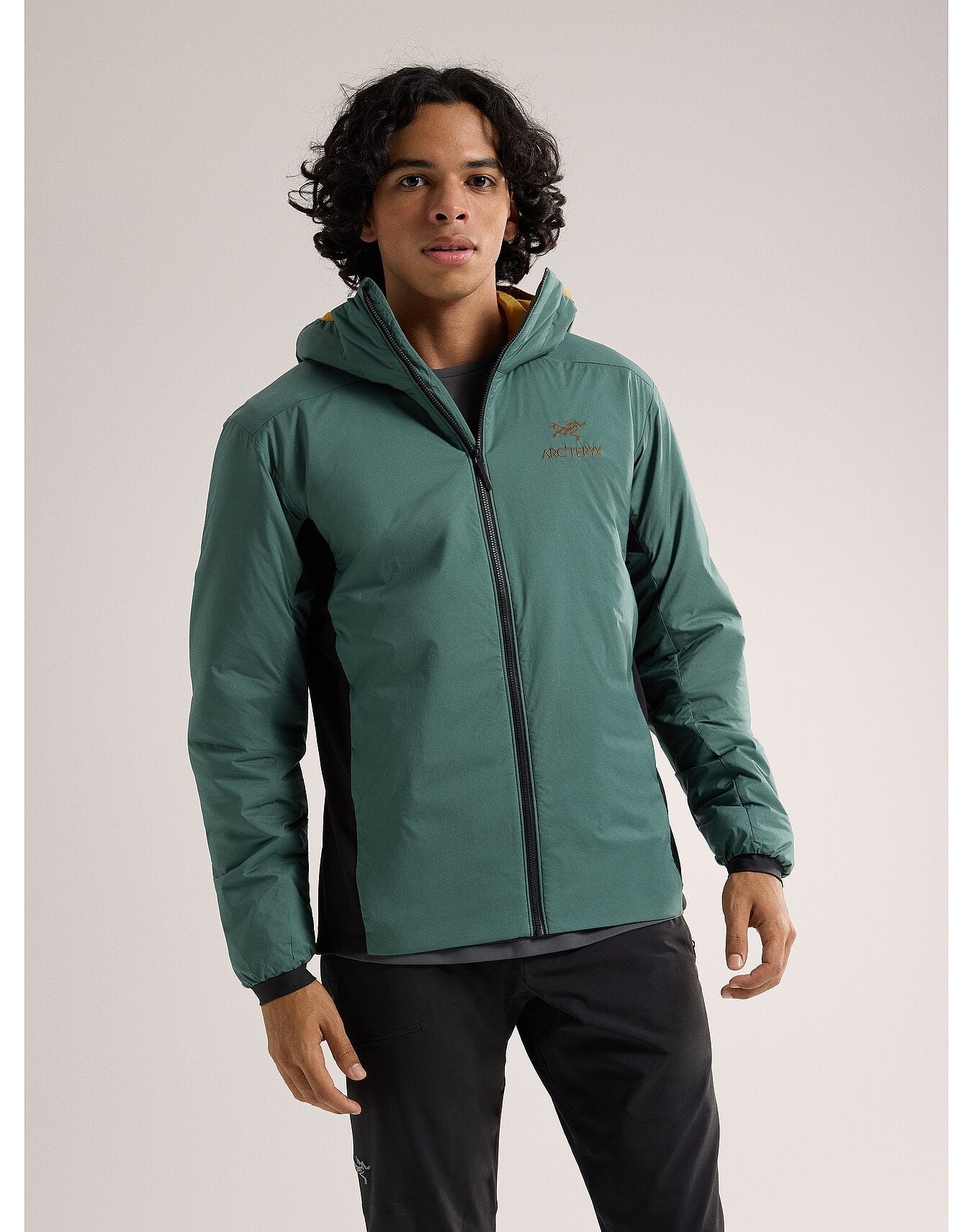 Arc'teryx Men's Atom Hoody – Outdoors Inc