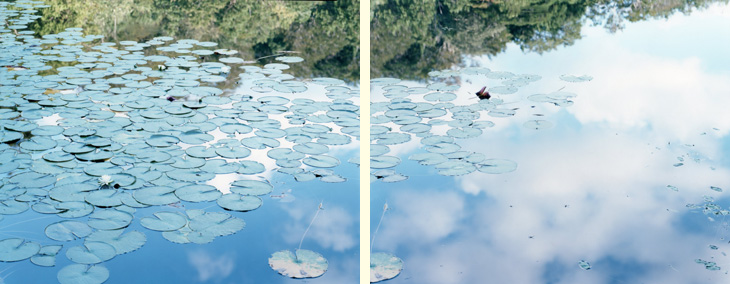 Risaku Suzuki Stream of consciousness [Introduction] | Tokyo Opera