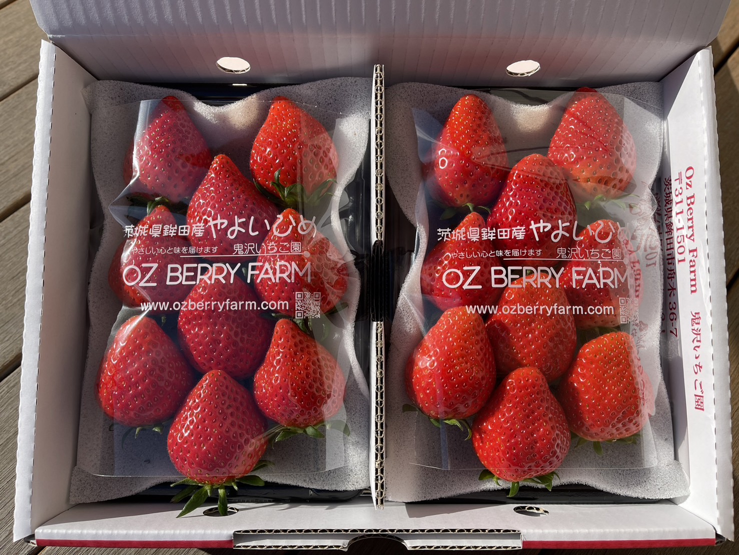 いちご直売のご案内 | OZ BERRY FARM