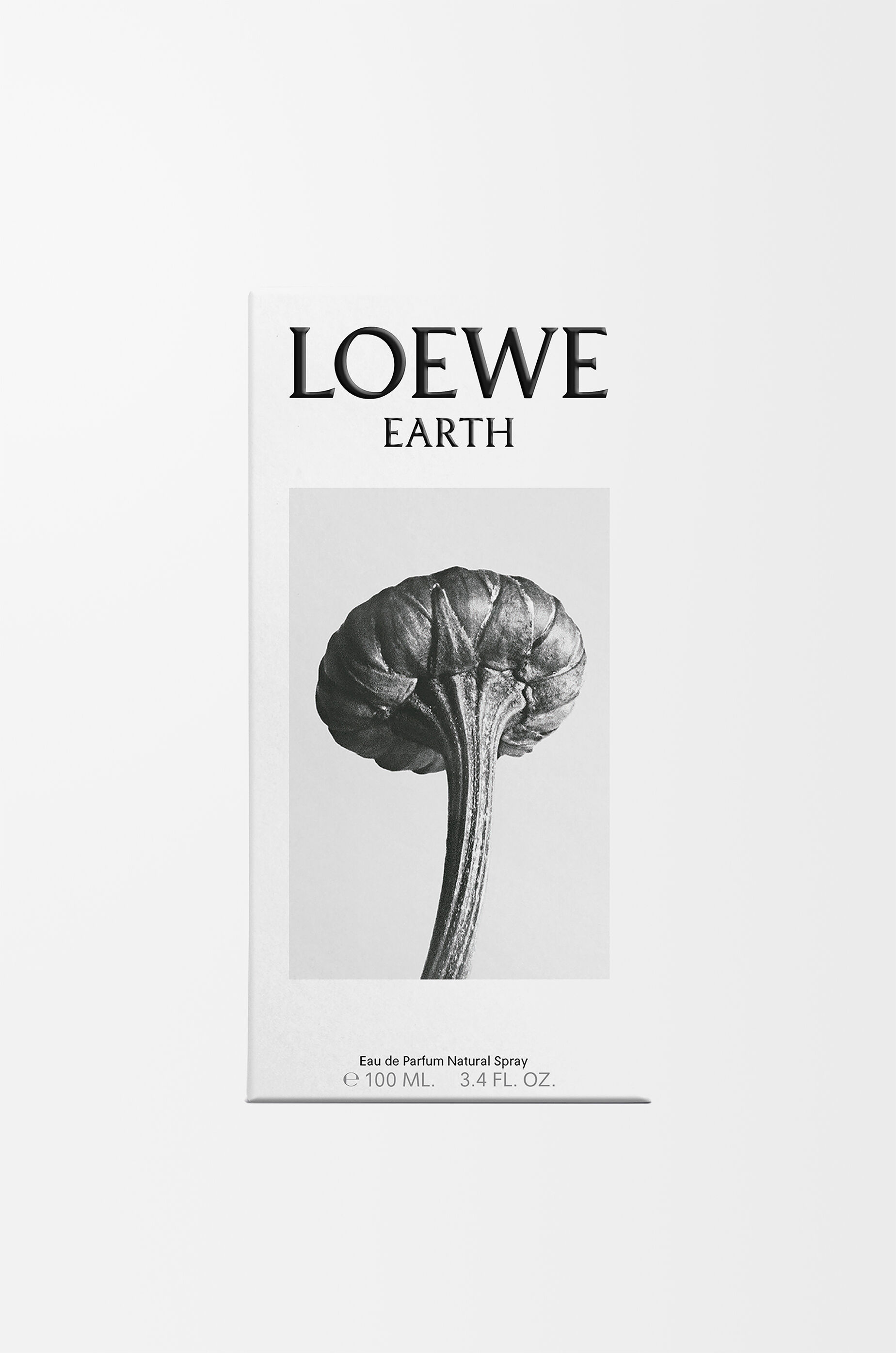 LOEWE Earth Eau de Parfum 100ml Purple - LOEWE USA Official Website