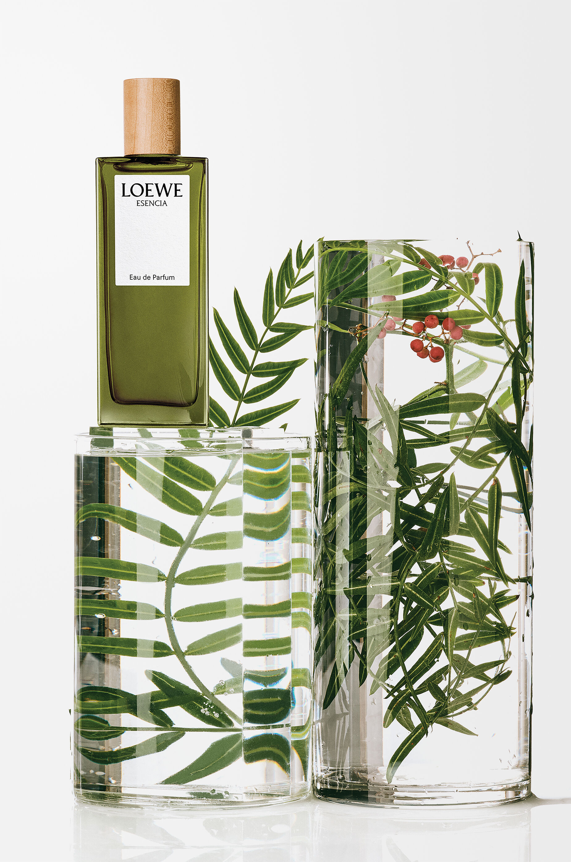 LOEWE Esencia Eau de Parfum 50ml Colourless - LOEWE