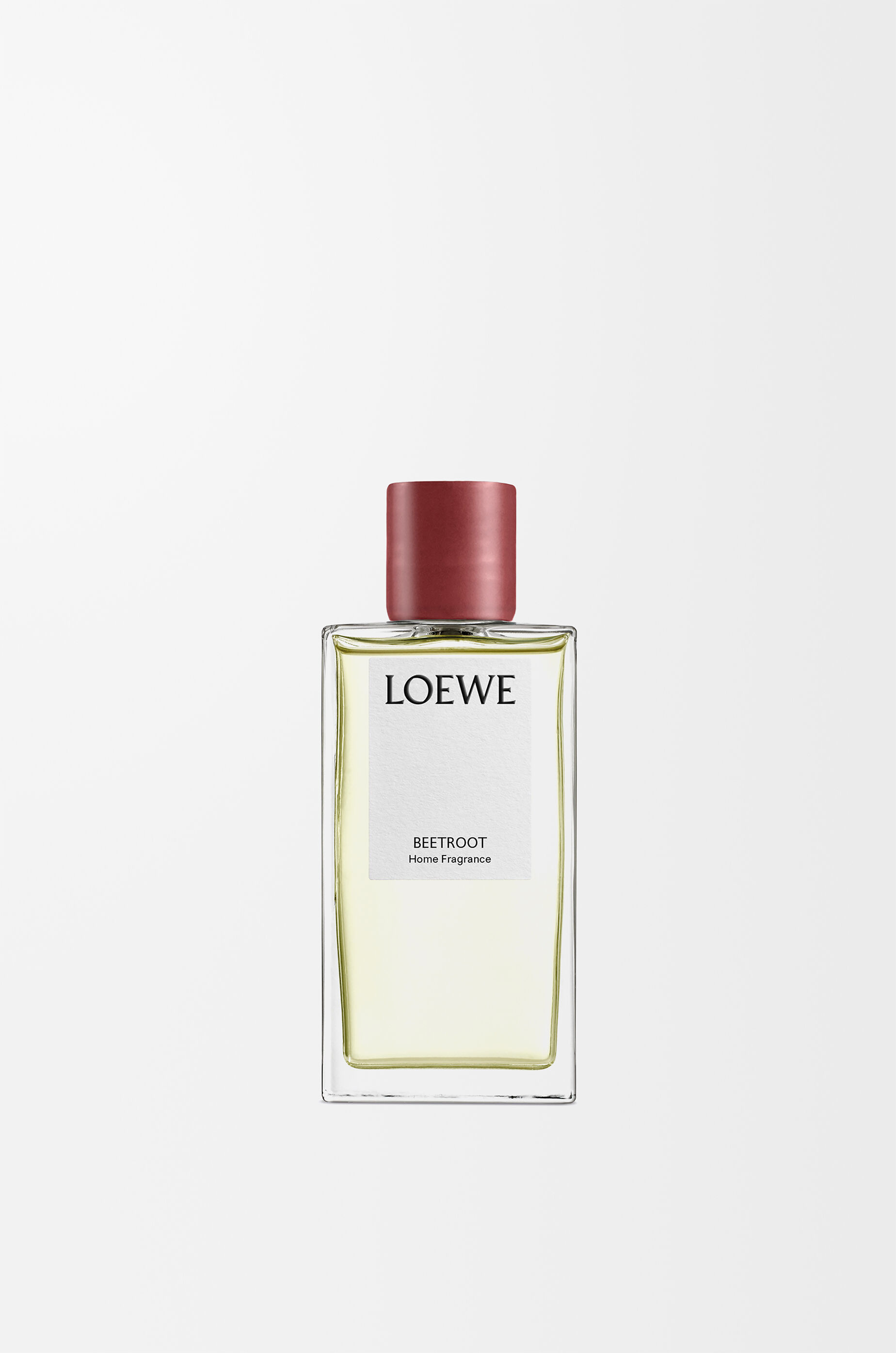 LOEWE Japan official website