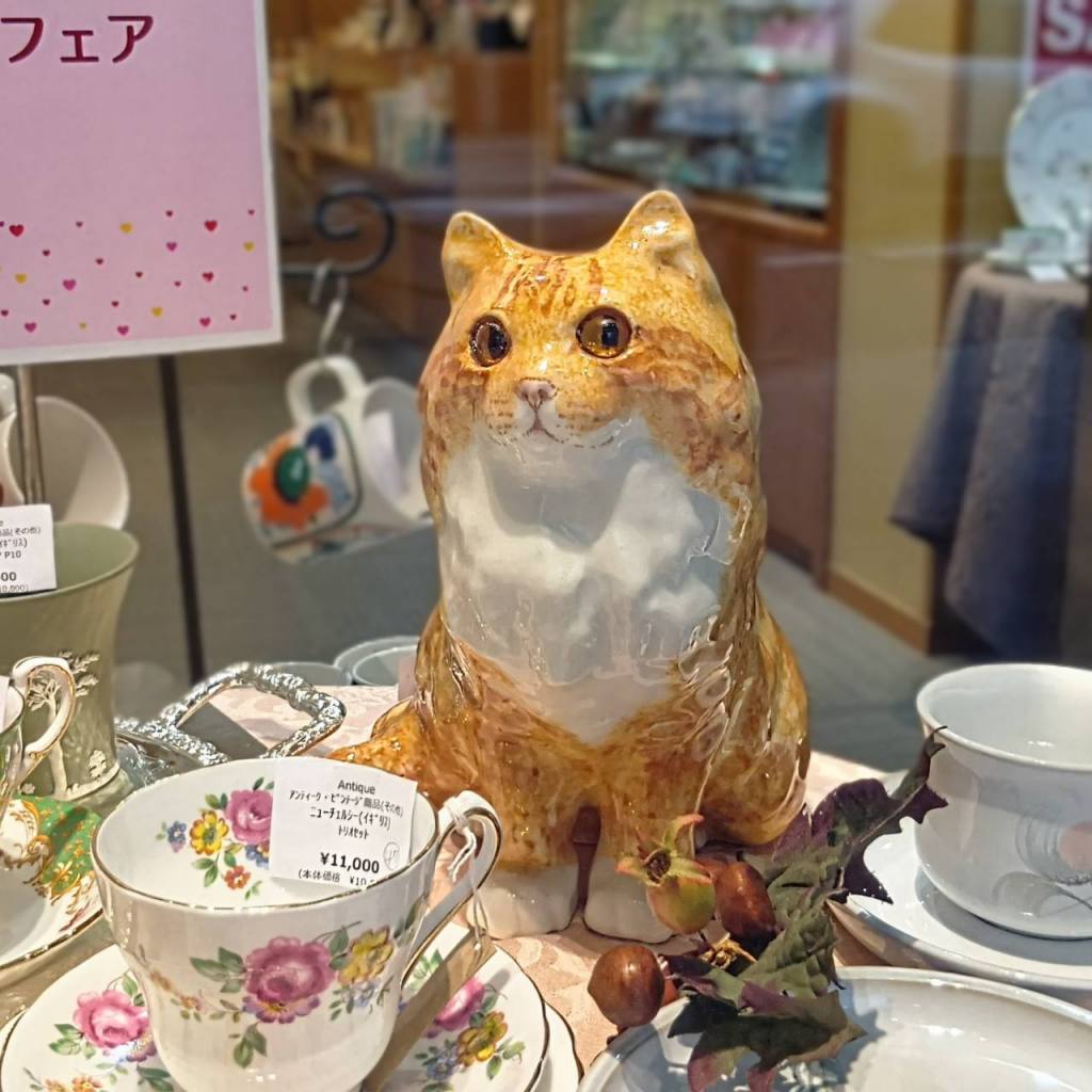 ♥ウィンスタンレイキャット｟京都四条本店 限定｠ | OFFICIAL BLOG