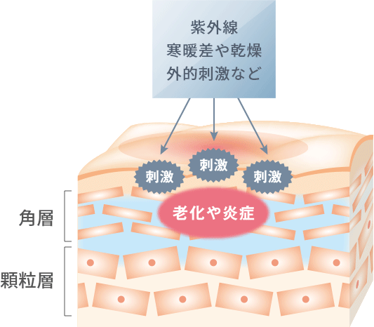 マリアギャラン クリーム 262 | 公式サイト／ラフォーレ（LAFORRE）