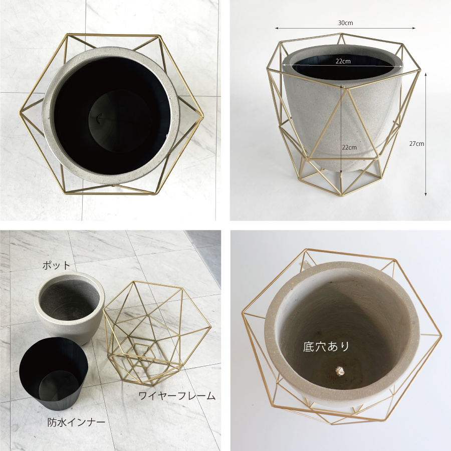 m 様フォロー割お値段♢30♢ シロダーラ ポット 約1．5㍑ ×1