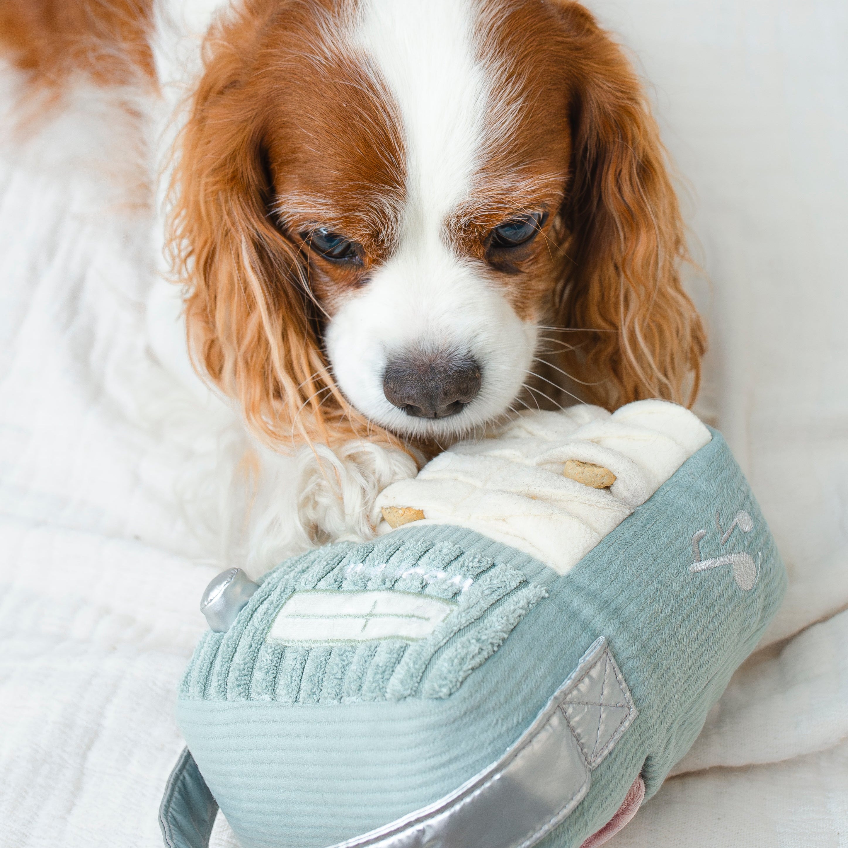 WOOF FM- Enrichment and Interactive Dog Toy | Puzzle Dog Toy