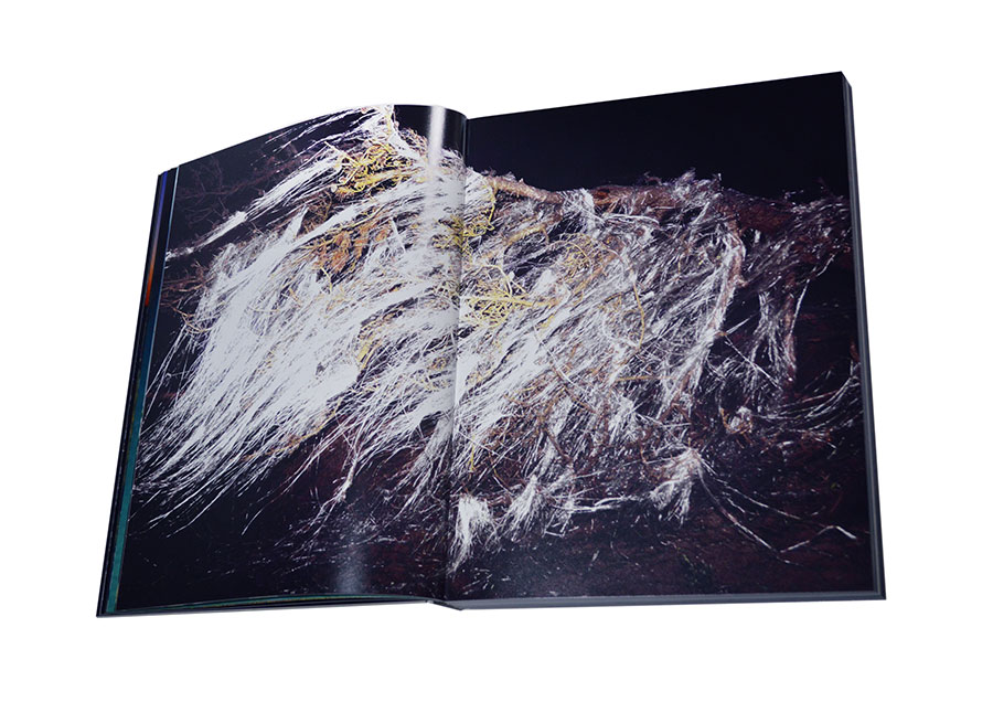 螺旋海岸 写真集 / RASEN KAIGAN | album | Lieko Shiga