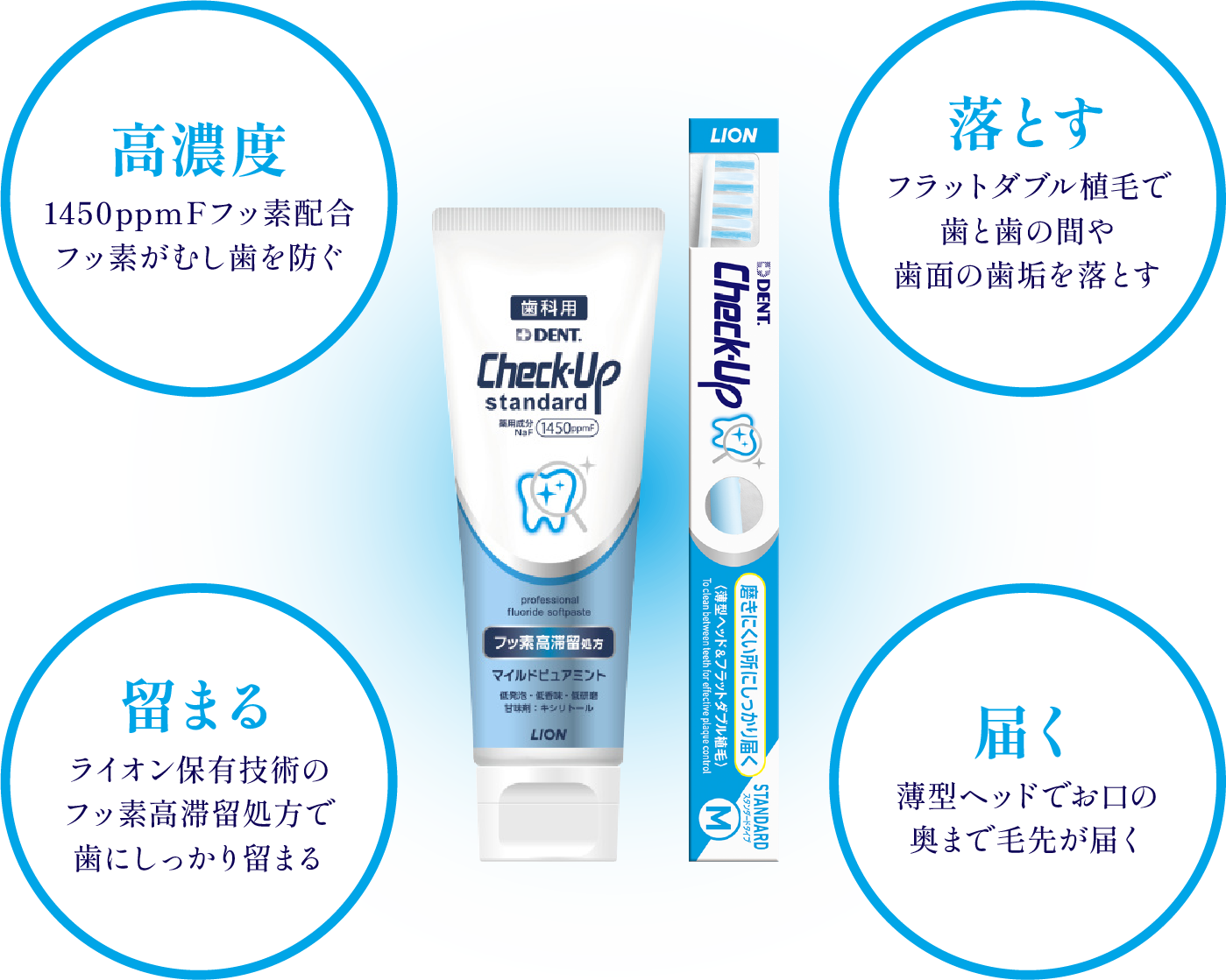 Check-Up ブランドサイト｜一般のお客さま向け情報｜ライオン歯科材