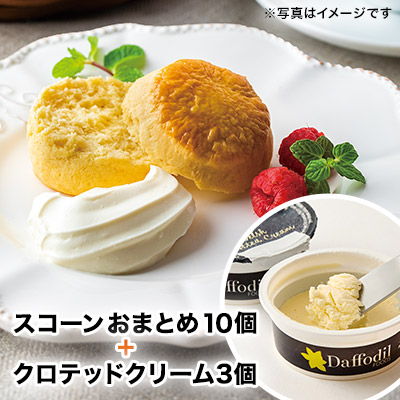 LUPICIA gourmand】スコーンおまとめ10個セットとクロテッドクリームの