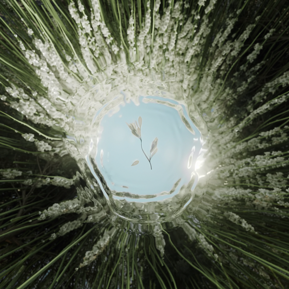 アート・デザイン・音楽 natural phenomenon アート・デザイン・音楽