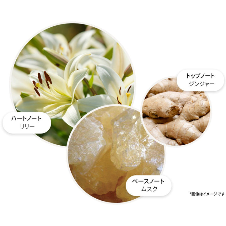 ジンジャーリリー オードトワレ 100ml – MOLTON BROWN