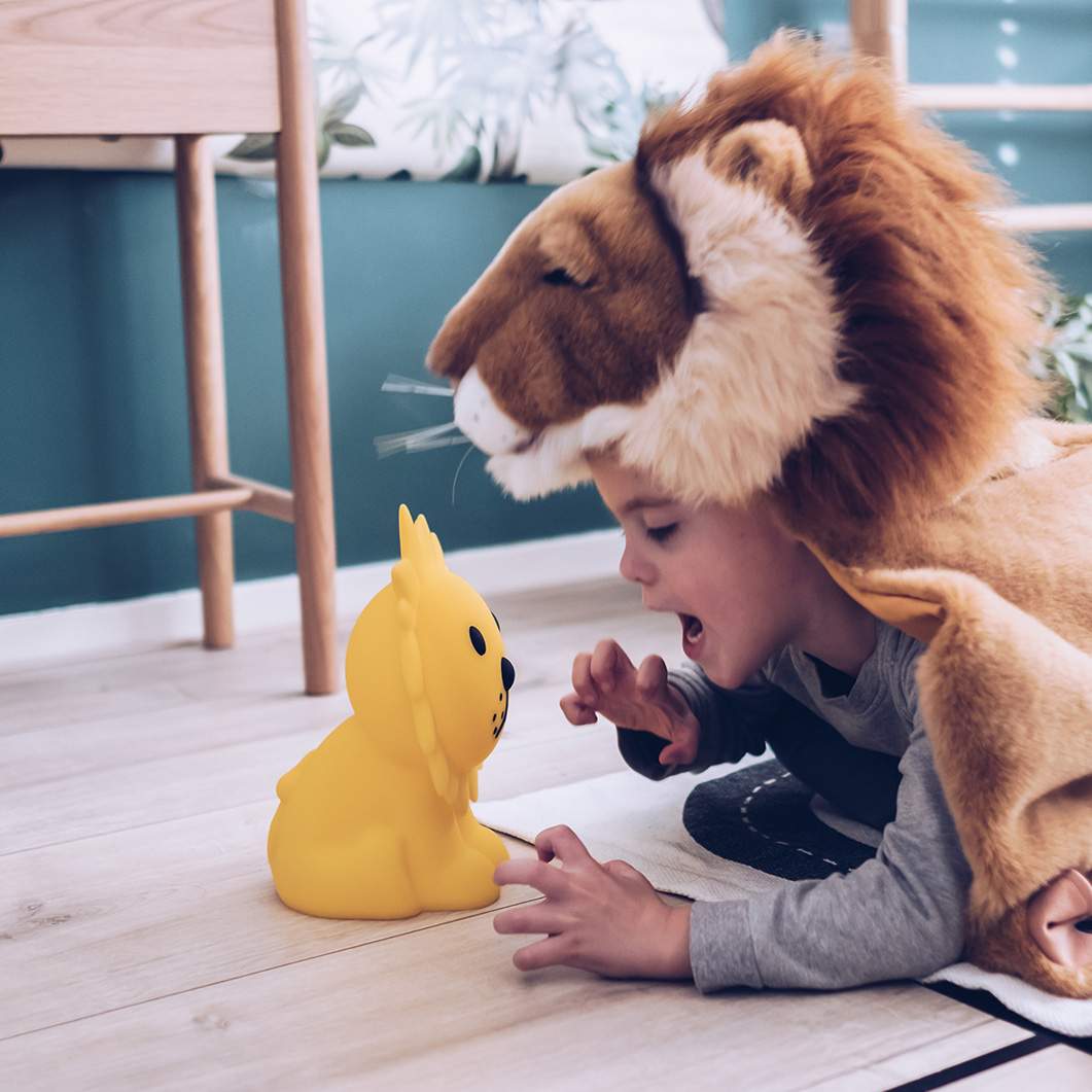 ファーストライト ミッフィー＆フレンズ ライオン(ライオン)：ホーム