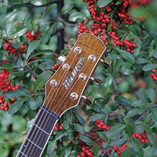 MR-451 | 生産完了品 | MORRIS GUITARS モーリスギター