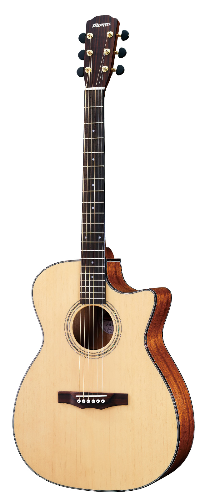 F-601C | 生産完了品 | MORRIS GUITARS モーリスギター