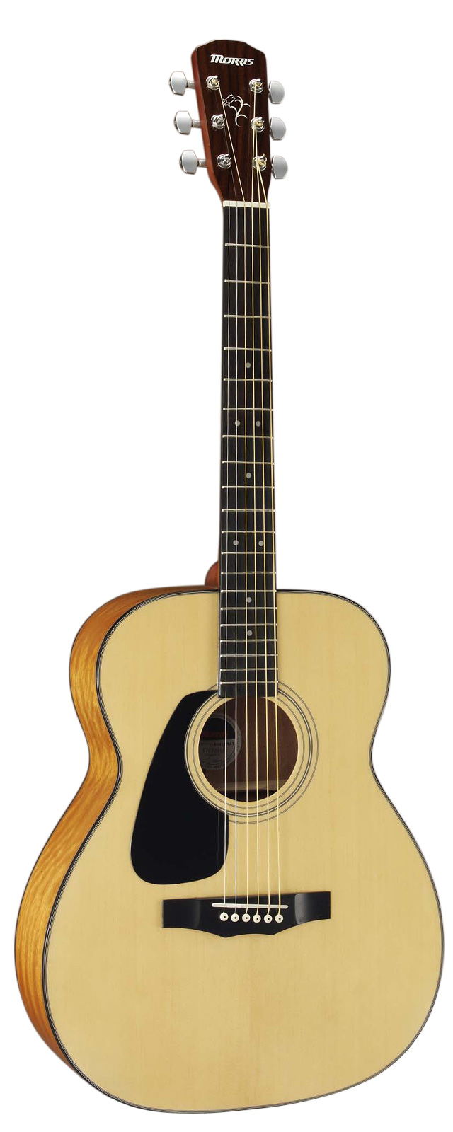 F-01 II LH | 生産完了品 | MORRIS GUITARS モーリスギター