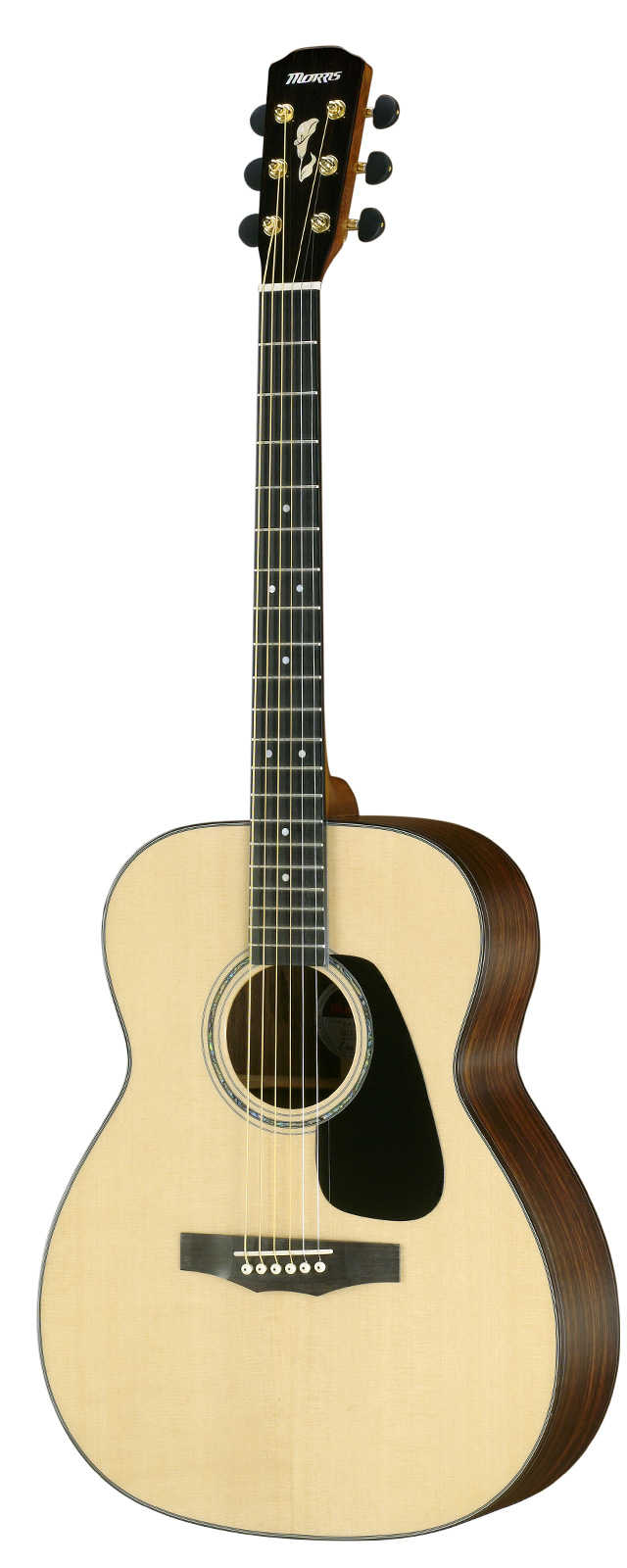 F-51 Performers Edition | 生産完了品 | MORRIS GUITARS モーリスギター