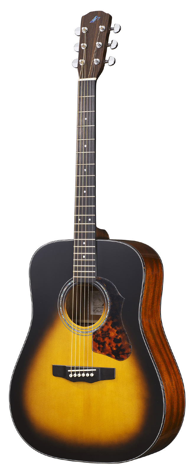 M-80 | 生産完了品 | MORRIS GUITARS モーリスギター