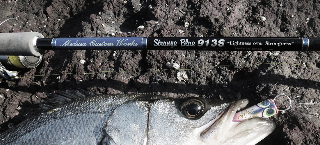 Strauge Blue 913S ショアジギングロッド Strauge Blue 913S