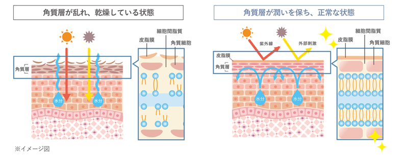 重要】製品リニューアルのお知らせ（センシティブライン） | MT