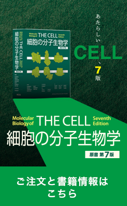 MEDSi メディカル・サイエンス・インターナショナル