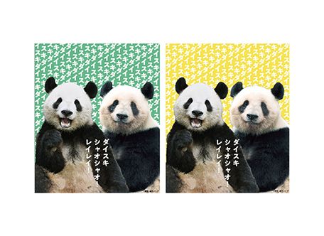 ダイスキ！シャオシャオ！レイレイ！