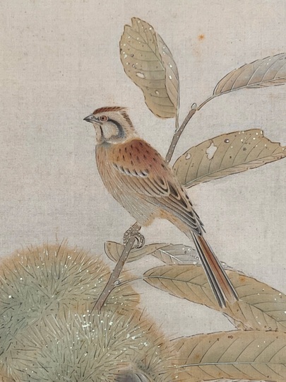 入江波光 栗に小禽｜古美術・掛け軸の販売・買取・鑑定-松本松栄堂