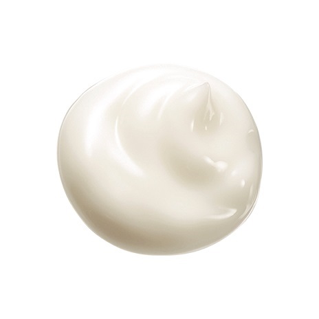 公式]オールインワン（ややしっとり） プロテクトバリアブライトリッチ