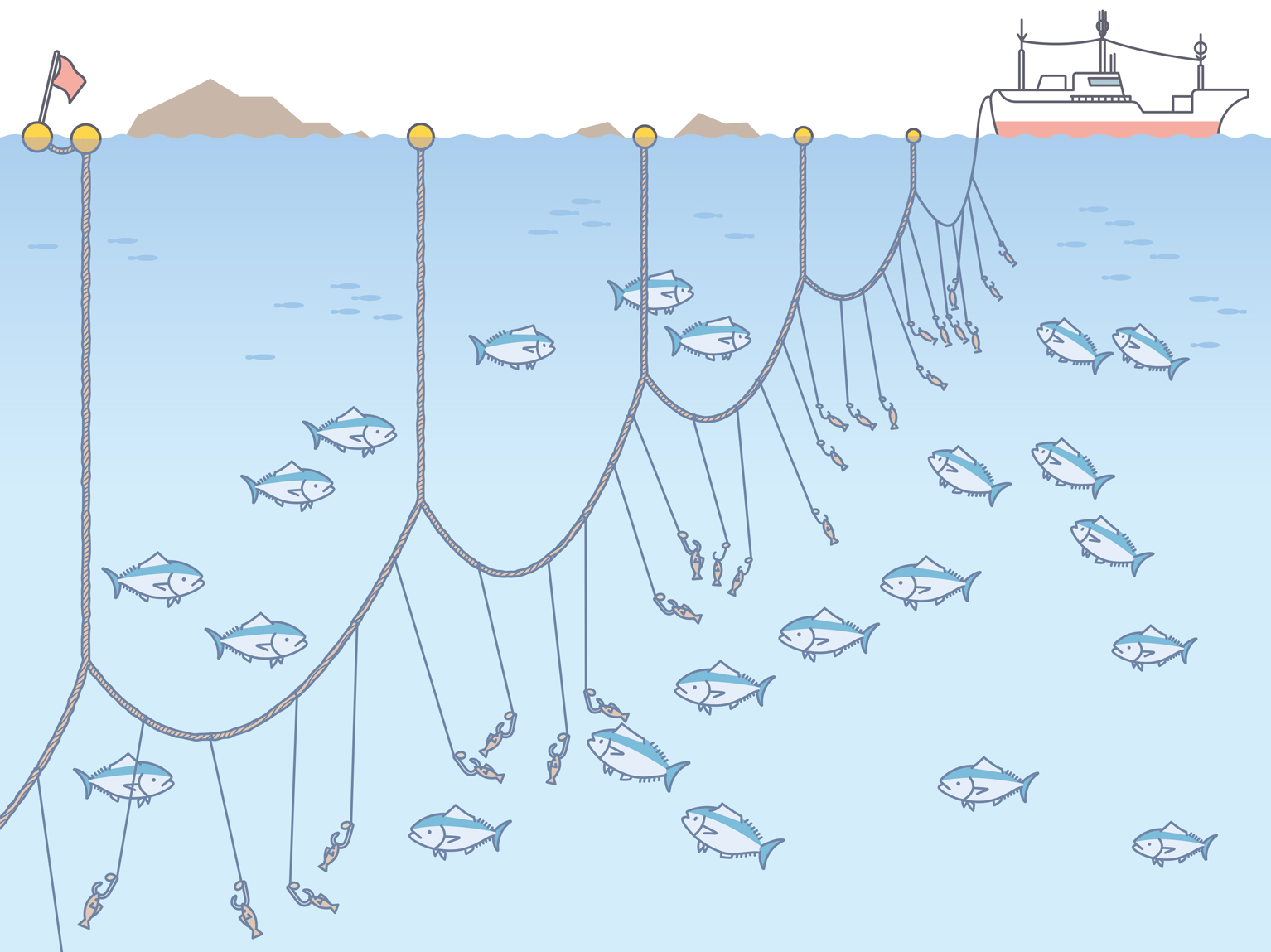 漁業種類イラスト集：農林水産省