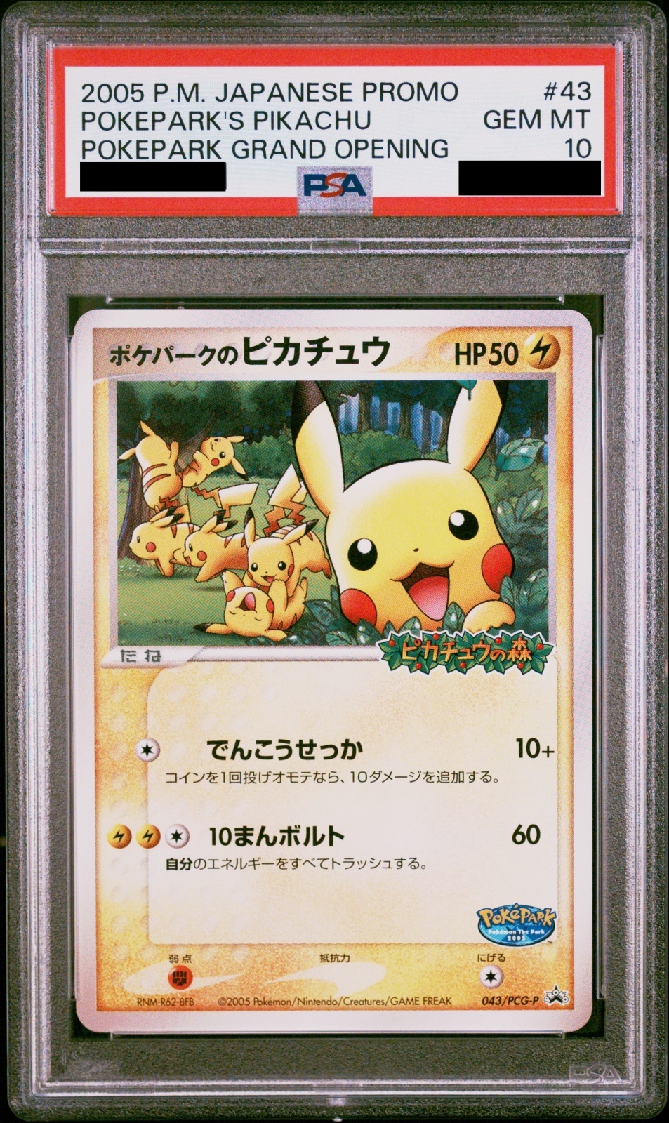PSA10】 ポケパークのピカチュウ (プロモ) {043/PCG-P} [PCG] - magi