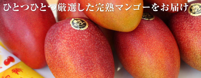 完熟マンゴー4Lサイズ・1玉入り - 火の国マンゴーパラダイス