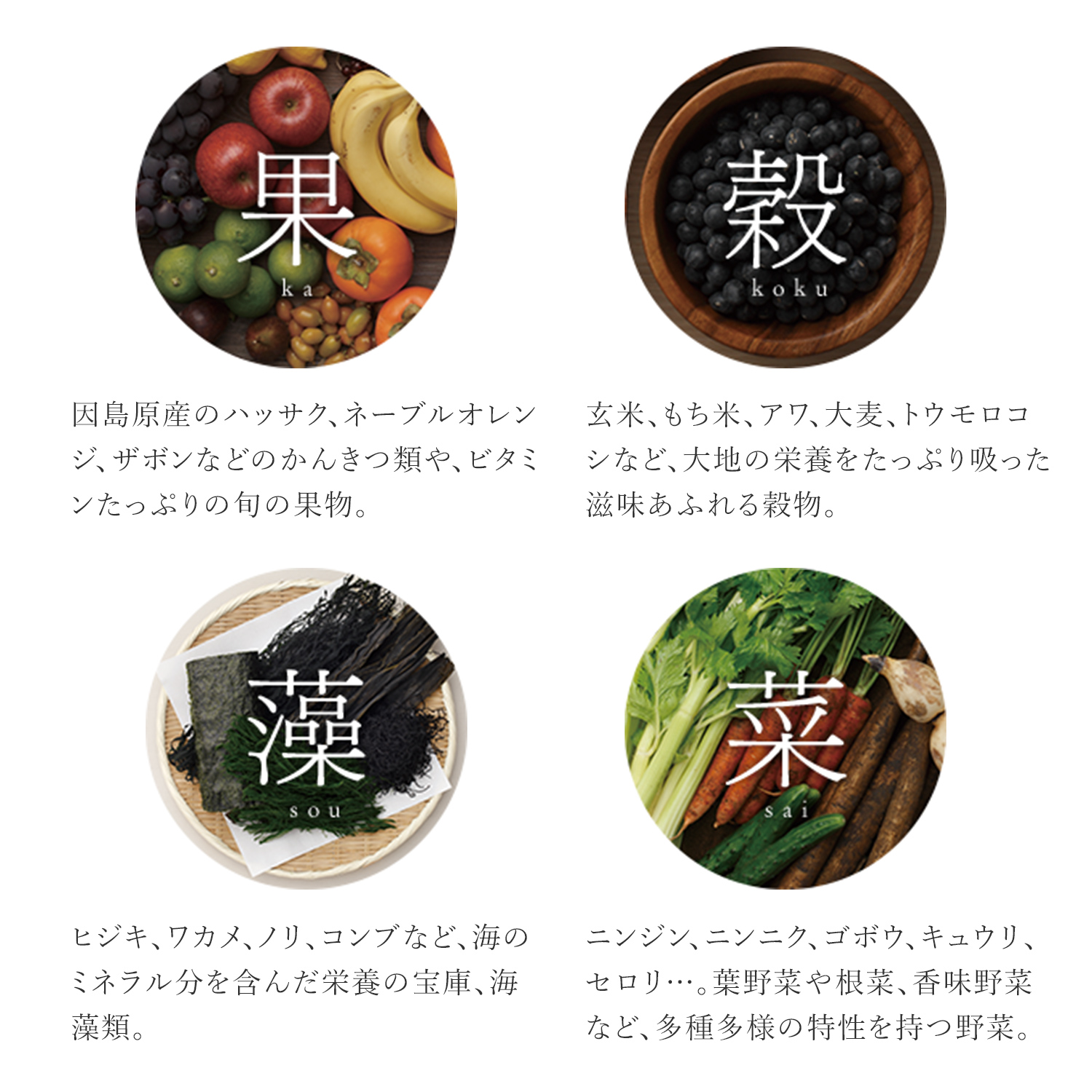 公式】お試しモニターセット 万田酵素 プラス温 発酵しょうが粒(分包