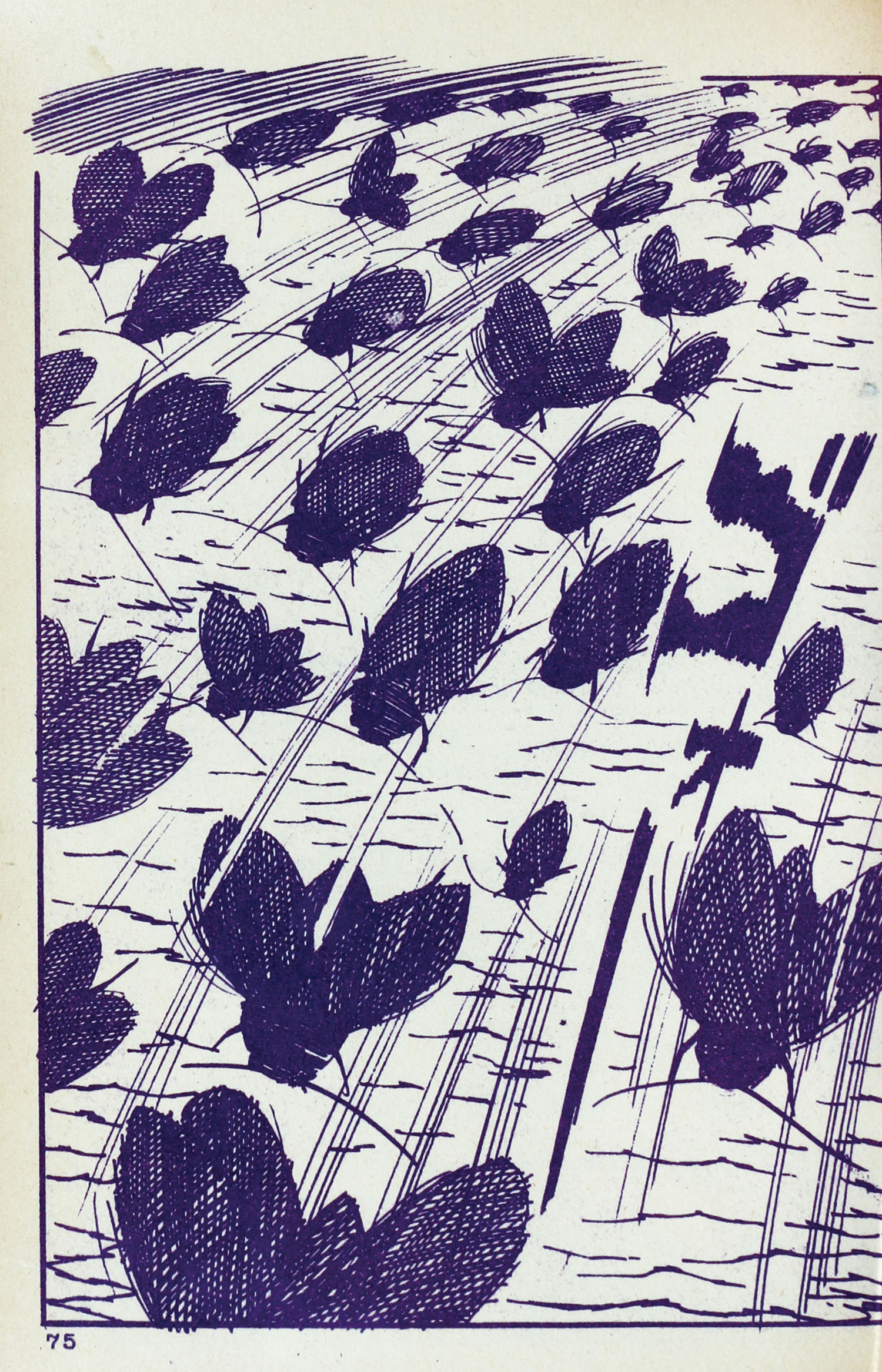 円谷一平/ウルトラ大怪獣シリーズ「ウルトラビギス×ウルトラゴッカム