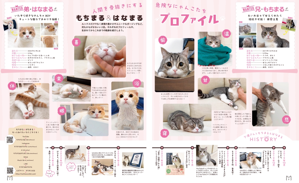 ねこ界のスーパーブラザーズ「もちまる＆はなまる」登場！人気シリーズ