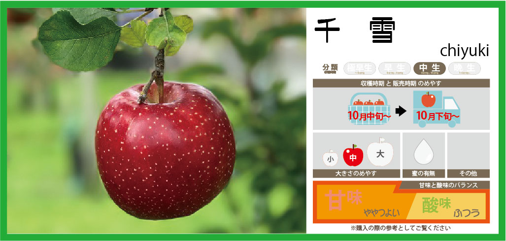 千雪(あおり27)/青森りんご｜まさひろ林檎園