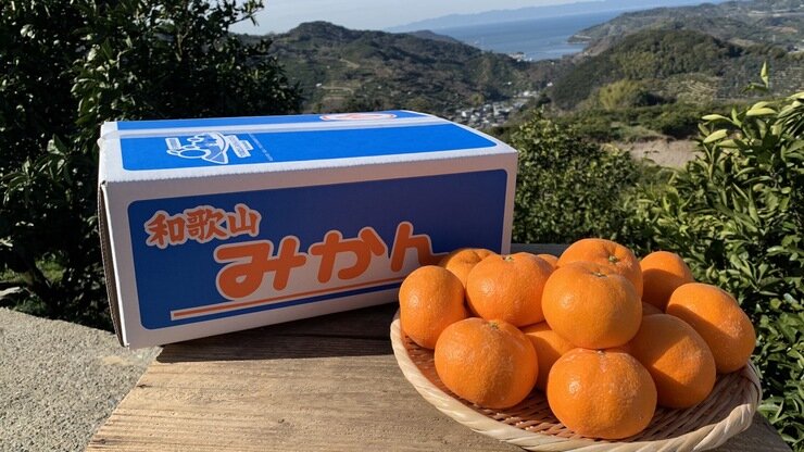 番組で紹介した「蔵出しみかんの藤原農園」に関するお問合せ・「蔵出し