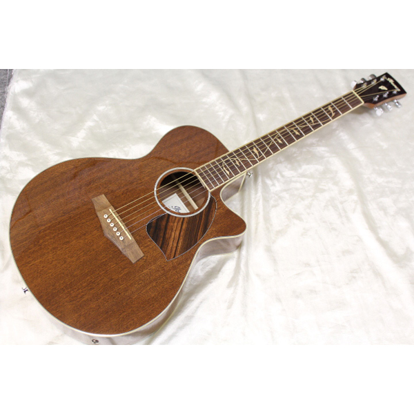 Ibanez(アイバニーズ) ／ PC33MHCE NMH エレクトリック