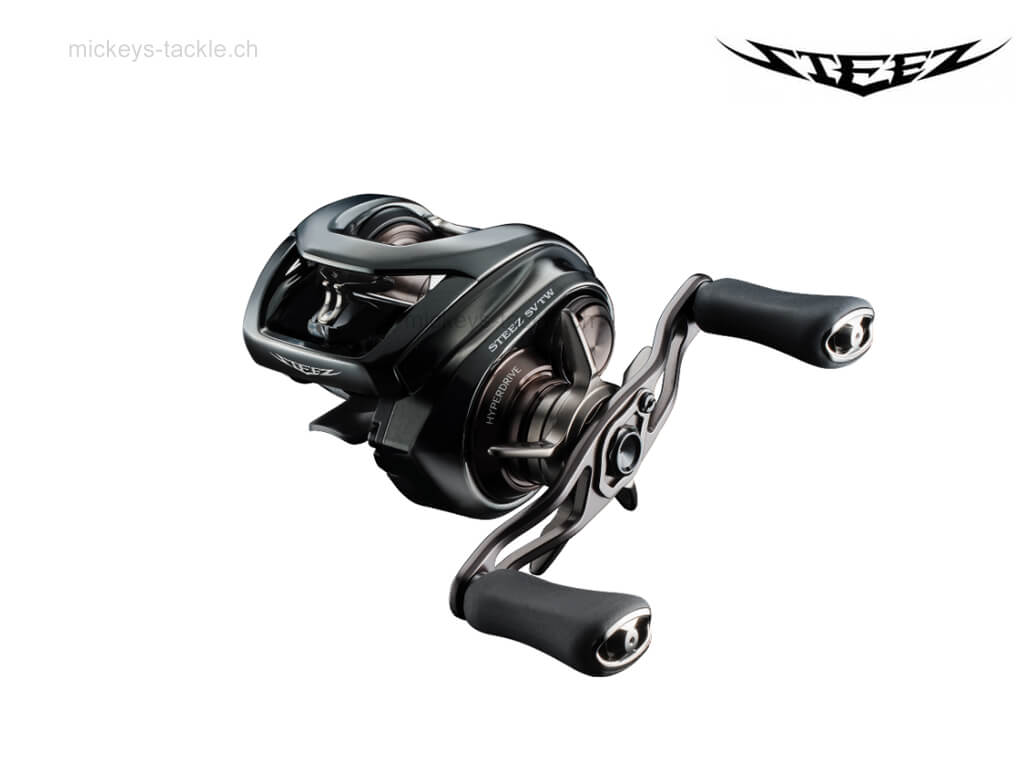 Daiwa 24 Steez SV TW 100