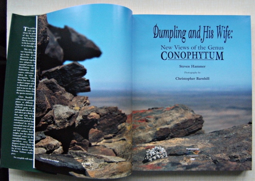 Dumpling and His Wife - New Views of the Genus Conophytum