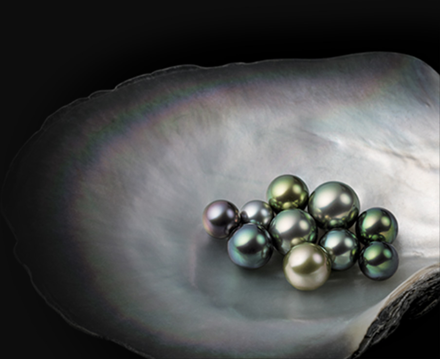 ミキモト化粧品ラフェリーナ三点セット ラフェリーナ｜スキンケア